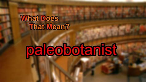 what does a paleobotanist do.